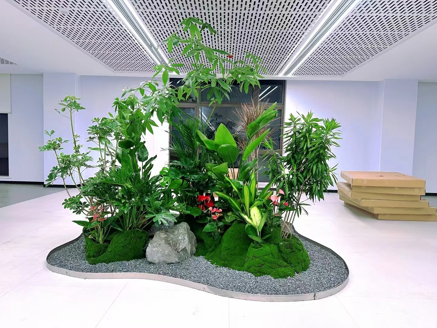 了解江北绿植出租方案,拥抱清新办公环境