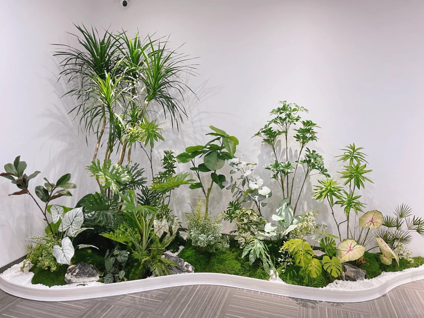 了解江北绿植出租方案,拥抱清新办公环境